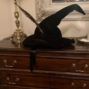 HARRY POTTER Professor Mcgonigal’s hat!